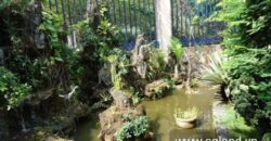 Bán biệt thự Thảo Điền Quận 2