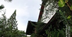 Bán biệt thự Thảo Điền Bán biệt thự Thảo Điền