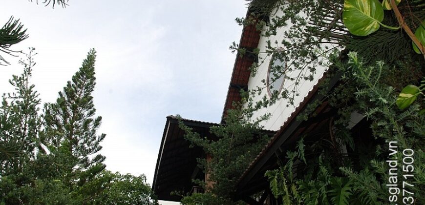 Bán biệt thự Thảo Điền