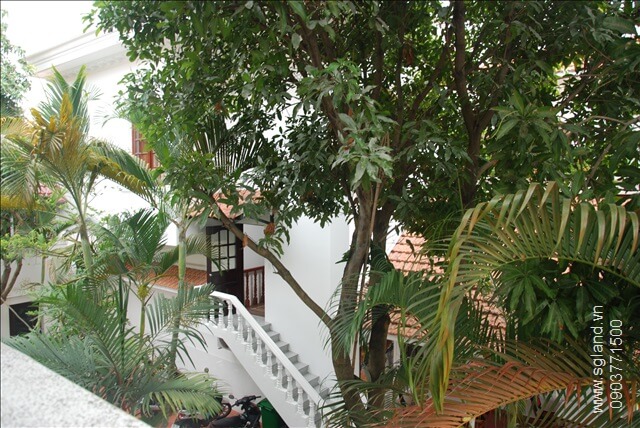 Biệt thự mặt tiền đường Trần Ngọc Diện 20 Biệt thự mặt tiền đường Trần Ngọc Diện tại – Nhà Đất Sài Gòn | Biệt thự Thảo Điền Quận 2