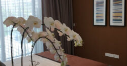 Bán biệt thự Holm Thảo Điền