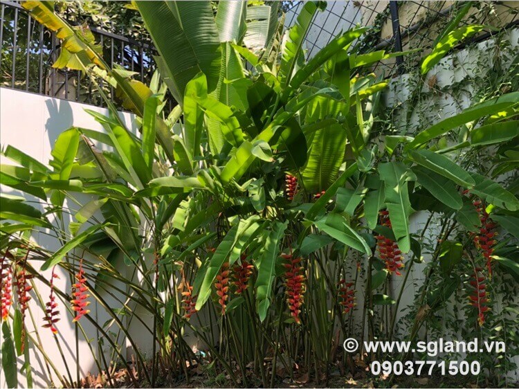 Bán biệt thự Thảo Điền tại – Nhà Đất Sài Gòn | Biệt thự Thảo Điền Quận 2