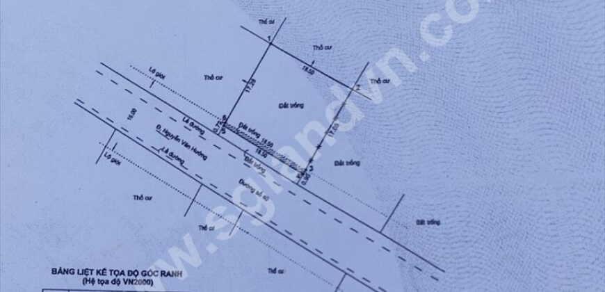 Bán đất Biệt thự Thảo Điền