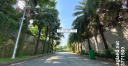 Bán đất Thảo Điền Quận 2