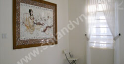 Bán biệt thự đường Tống Hữu Định