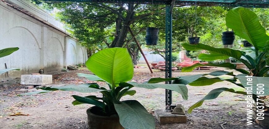 Bán đất mặt tiền Trần Ngọc Diện