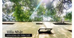 Biệt thự kiểu Nhật Biệt thự kiểu Nhật