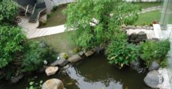 Bán biệt khu đường Trần Ngọc Diện