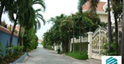 Bán biệt thự đường Xuân Thủy