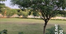 Riovista Dương Đình Hội