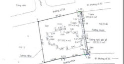 Bán biệt thự Thảo Điền Q2