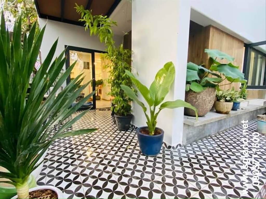 Bán nhà Quận 9 gần Suối Tiên tại – Nhà Đất Sài Gòn | Biệt thự Thảo Điền Quận 2