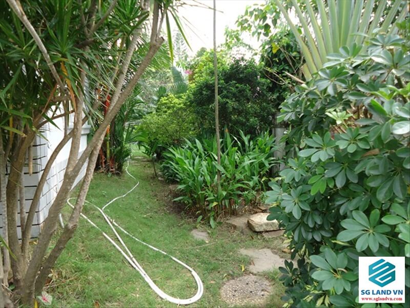 Bán biệt thự 33 Giang Văn Minh tại – Nhà Đất Sài Gòn | Biệt thự Thảo Điền Quận 2