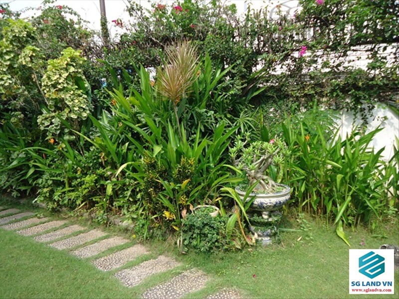 Bán biệt thự 33 Giang Văn Minh tại – Nhà Đất Sài Gòn | Biệt thự Thảo Điền Quận 2