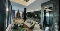 Bán biệt thự Mỹ Gia Phú Mỹ Hưng