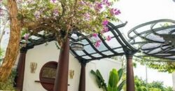 Bán biệt Thự Thảo Điền 2 – Giá hấp dẫn Bán biệt Thự Thảo Điền 2 – Giá hấp dẫn