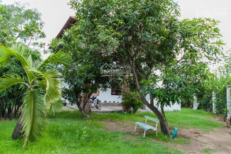 Bán đất Thảo Điền 89 Bán đất Thảo Điền tại – Nhà Đất Sài Gòn | Biệt thự Thảo Điền Quận 2