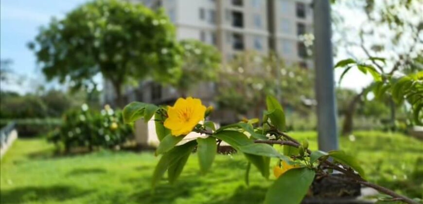 Bán nhà khu dân cư gia hòa quận 9