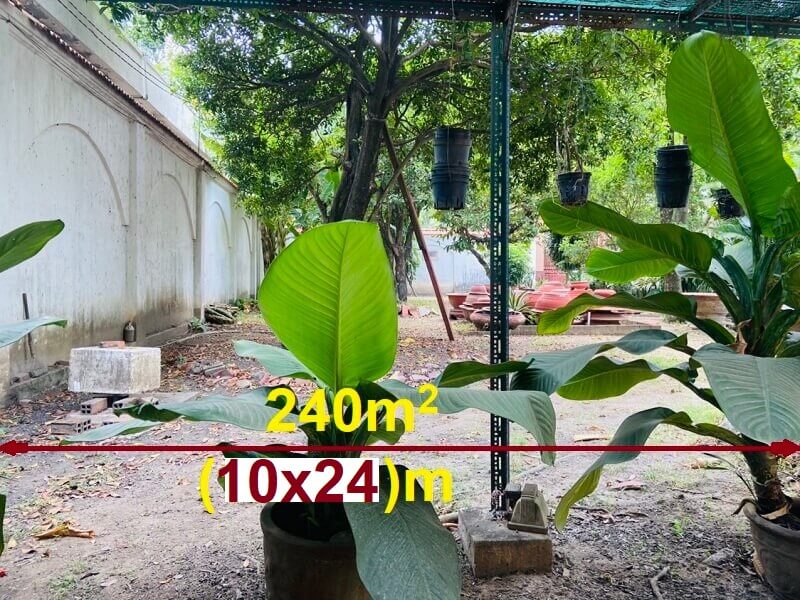 đất mặt tiền Trần Ngọc Diện