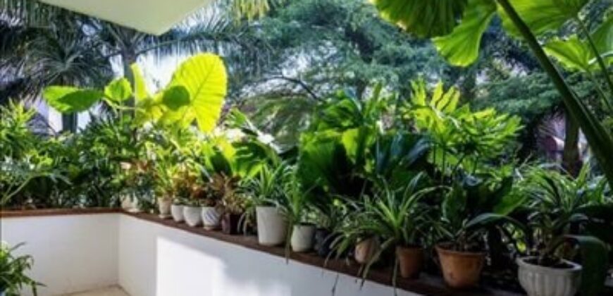 Biệt thự khu thảo điền quận 2