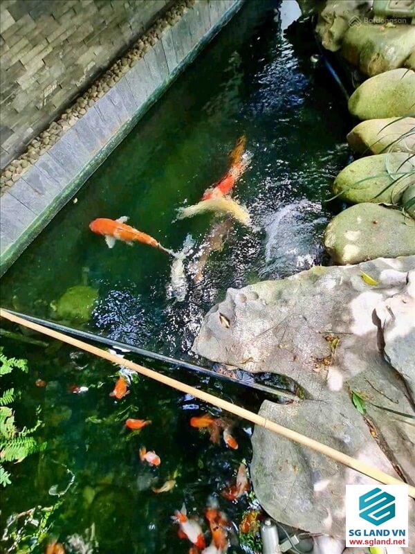 Bán Biệt Thự Thảo Điền Chính Chủ tại – Nhà Đất Sài Gòn | Biệt thự Thảo Điền Quận 2