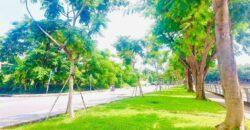 Bán Đất Khu Văn Minh Quận 2 | Mặt tiền sông nhìn ra Đảo Kim Cương cực đẹp